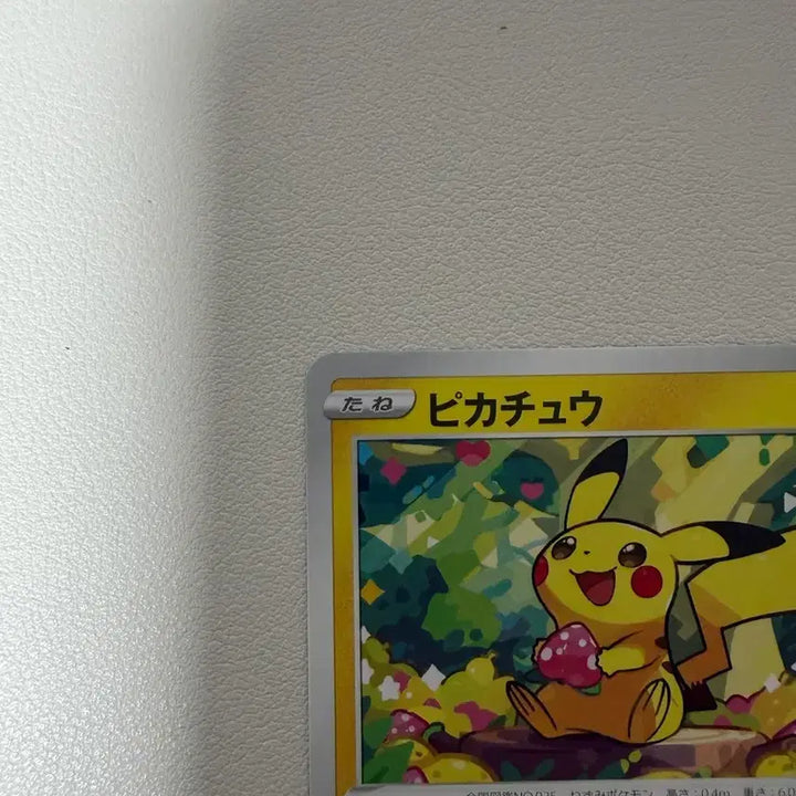 [BUNJANG] Pokemon Card Pikachu 014/071 Japanese SS Grade / 포켓몬 카드 피카츄 014/071 일판 SS급