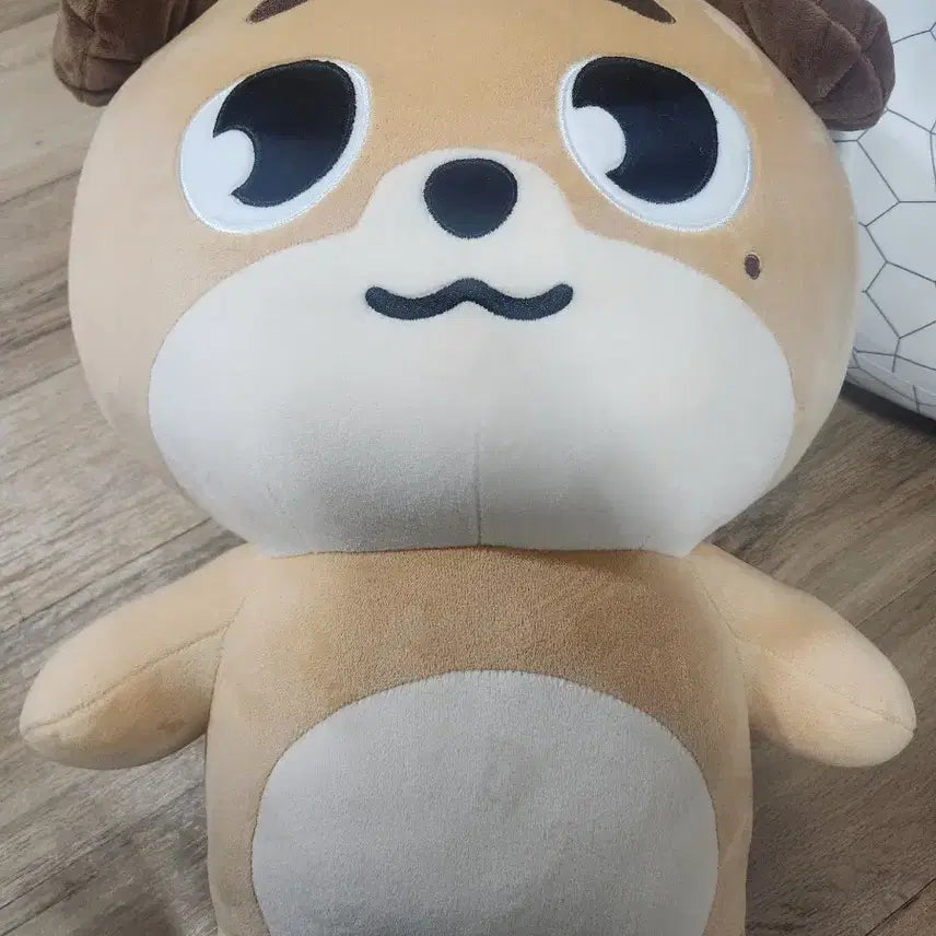 [BUNJANG] Day6 Giant Don Doll / 데이식스 자이언트 돈
