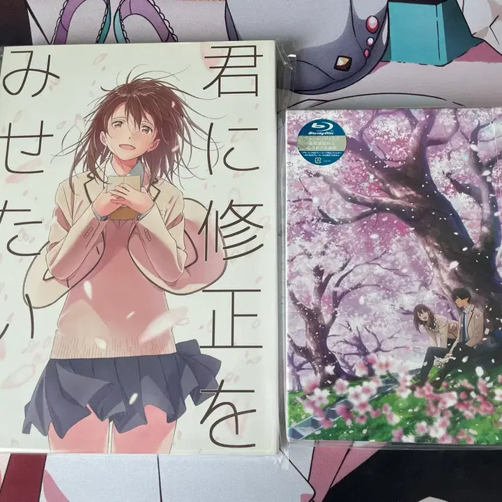 [BUNJANG] I Want to Eat Your Pancreas Bundle Set / 너의 췌장을 먹고 싶어 굿즈 일괄