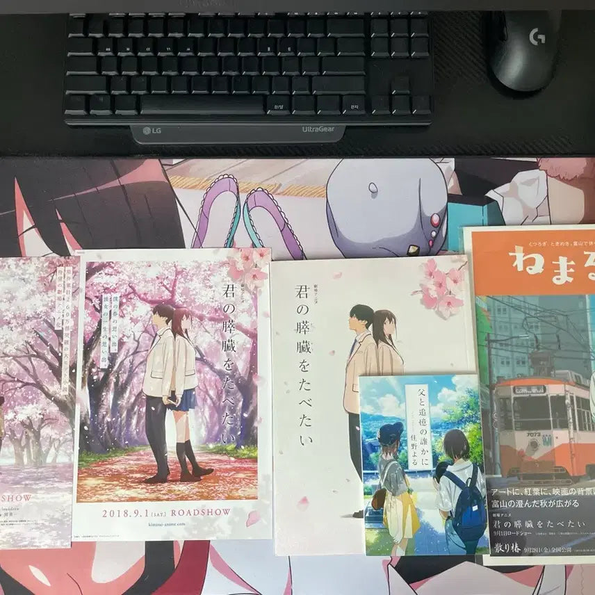 [BUNJANG] I Want to Eat Your Pancreas Bundle Set / 너의 췌장을 먹고 싶어 굿즈 일괄