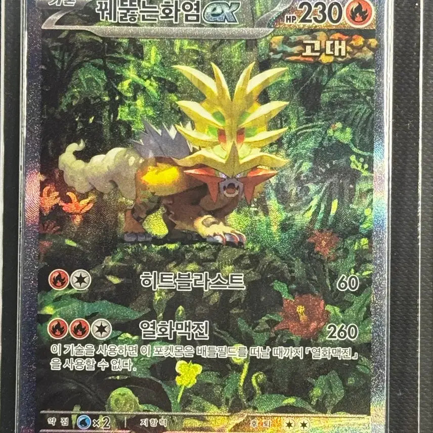 [BUNJANG] Charizard EX / 꿰뚫는화염 ex sar