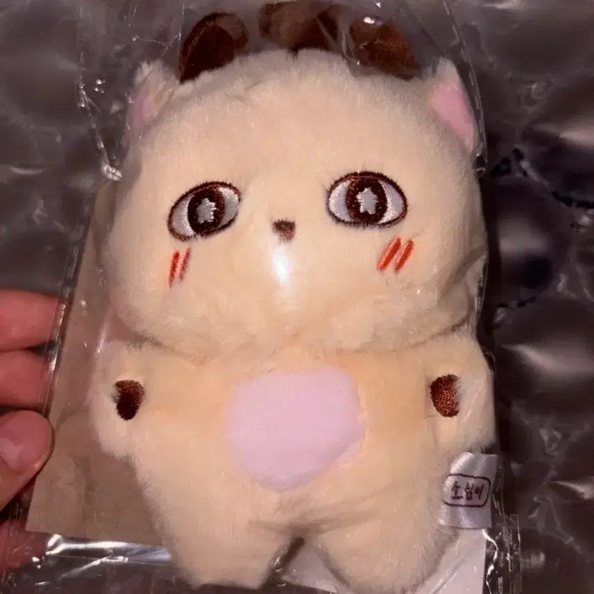 [BUNJANG] Park Jihoon Sosimi Doll / 박지훈 소심이 인형
