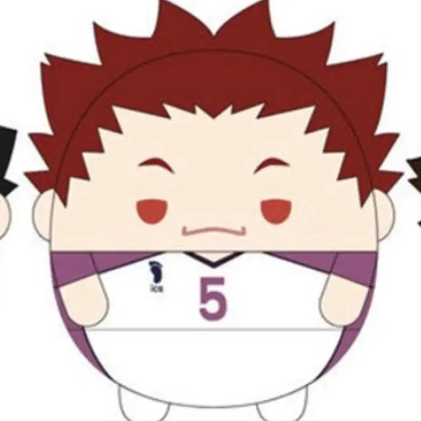 [BUNJANG] Haikyuu Tendo Satori Fuwaroring S / 하이큐 텐도 사토리 후와코로링 s