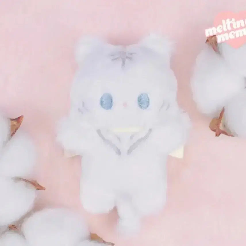 [BUNJANG] Melting Mimoer TT Dewy / 멜팅미모어 티티듀이