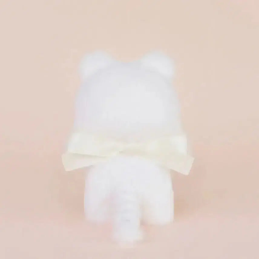 [BUNJANG] Melting Mimoer TT Dewy / 멜팅미모어 티티듀이