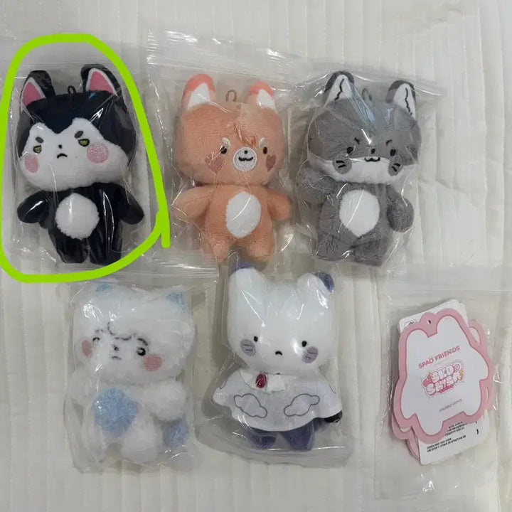 [SOLD OUT] 스코시즘 스파오 짚톡 인형 로보