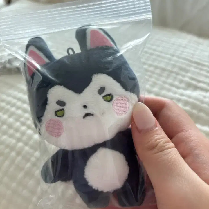 [SOLD OUT] 스코시즘 스파오 짚톡 인형 로보