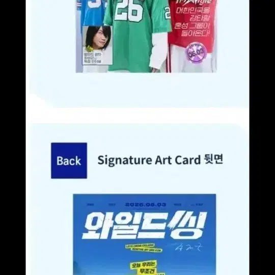 [BUNJANG] Wild Thing Art Card &amp; Photocard Set / 와일드씽 아트카드&amp;포토카드 4종set  일괄