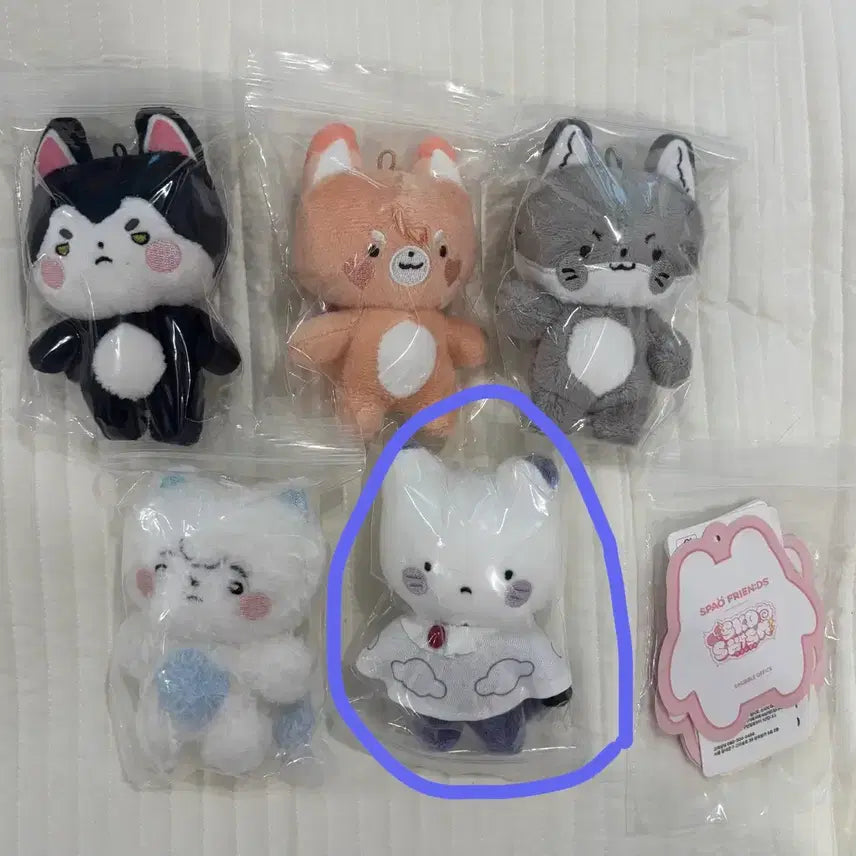 [BUNJANG] SCOCHISM SPao ZipTok Doll Otto / 스코시즘 스파오 짚톡 인형 오토