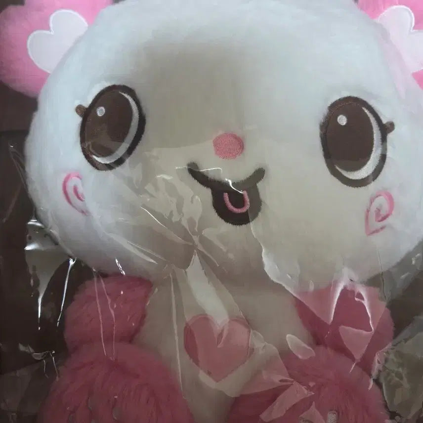 [BUNJANG] NCT WISH Wishdoll 30cm Plush Doll Pang-i / 엔시티 위시 위시돌 30cm 인형 팡이