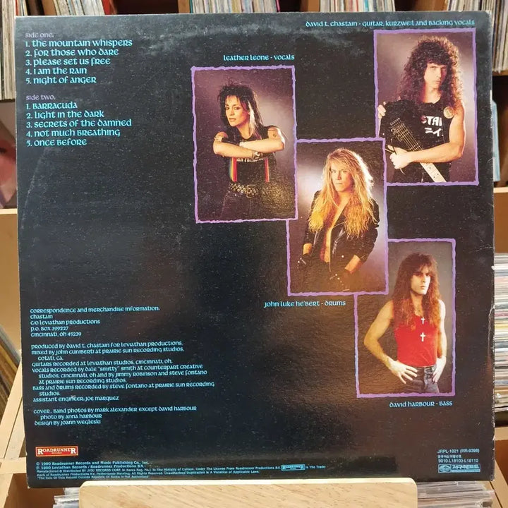 [BUNJANG] Chesterfield Heavy Metal LP Album / 완숙해진 헤비메탈 체스테인 헤비메탈 LP 할인