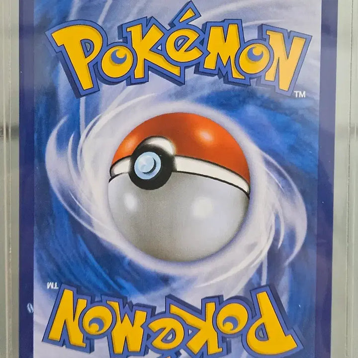 [BUNJANG] Pokemon Card M Charizard EX Blastoise / 포켓몬 카드 M리자몽EX 그렌다이브