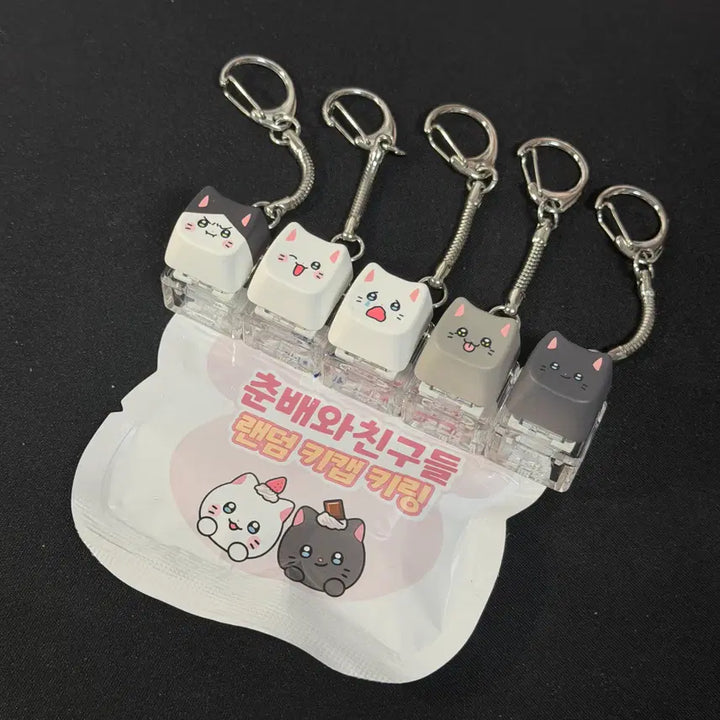 [BUNJANG] Nyahangnamja Paik Coffee Collaboration Chunbae Keycap 5-Piece Full Set / [냐한남자] 빽다방 콜라보 춘배 키캡 5종 풀셋