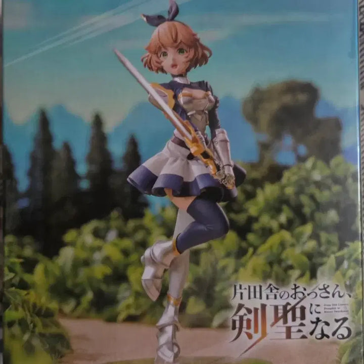 [BUNJANG] Sega Crony Cruciell Figure / 세가 촌구석 아저씨 검성이되다 크루니 크루시엘 피규어