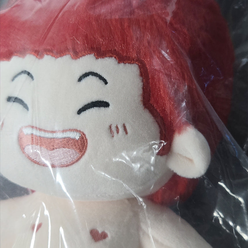[BUNJANG] Slam Dunk Sakuragi Hanamichi 20cm Plush Doll / 슬램덩크 강백호 솜인형 강백호 인형 20cm