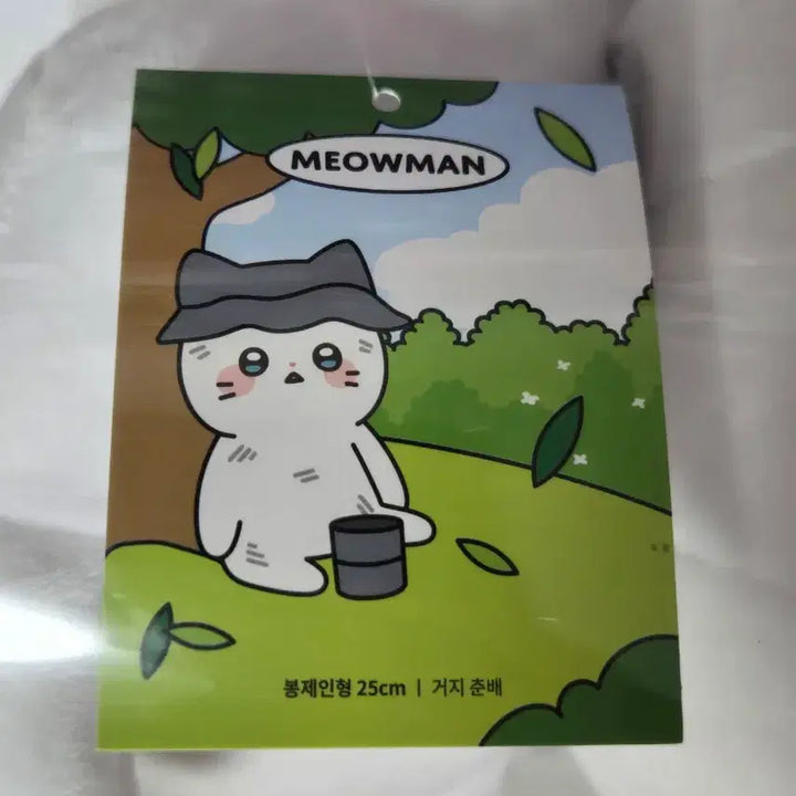[BUNJANG] Nyan Cat Chunbae Beggar Chunbae Medium Plush 25cm / [새상품]냐한남자 춘배 거지춘배 중형인형25cm
