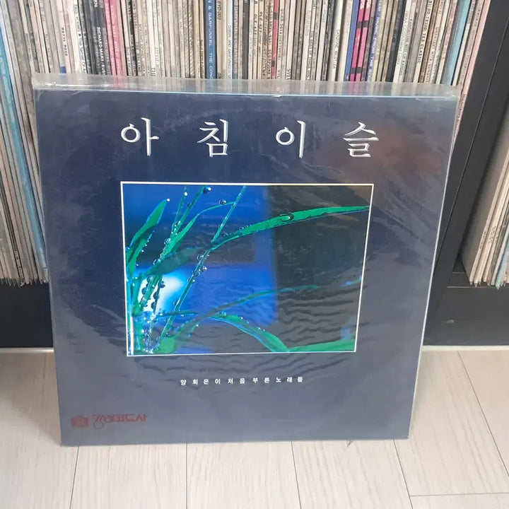 [BUNJANG] Yang Hee-eun 1987 2LP &