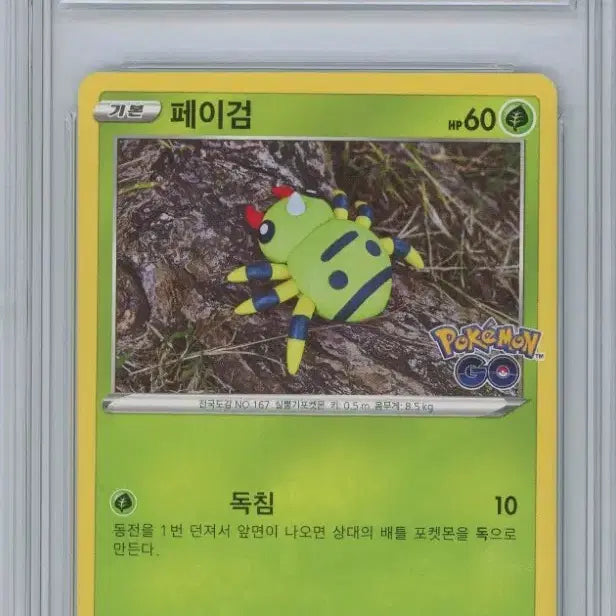 [BUNJANG] Pokemon TCG Transform Card - Paygon (Ditto) / 포켓몬고 포켓몬카드 변신카드 페이검(메타몽)