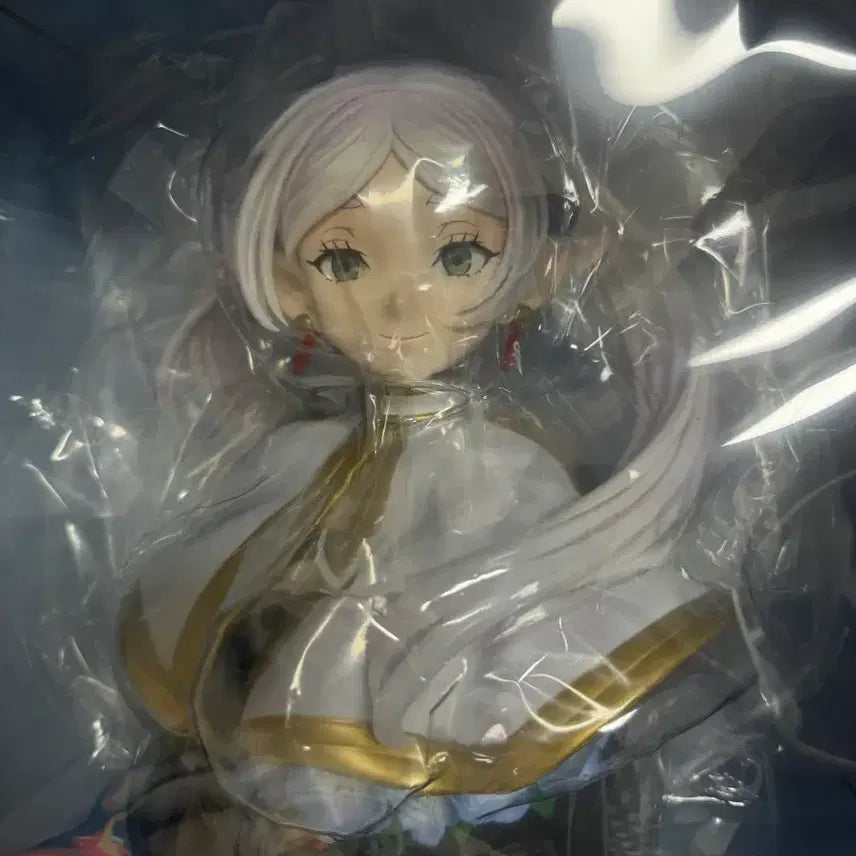 [BUNJANG] Frieren: Beyond Journey&