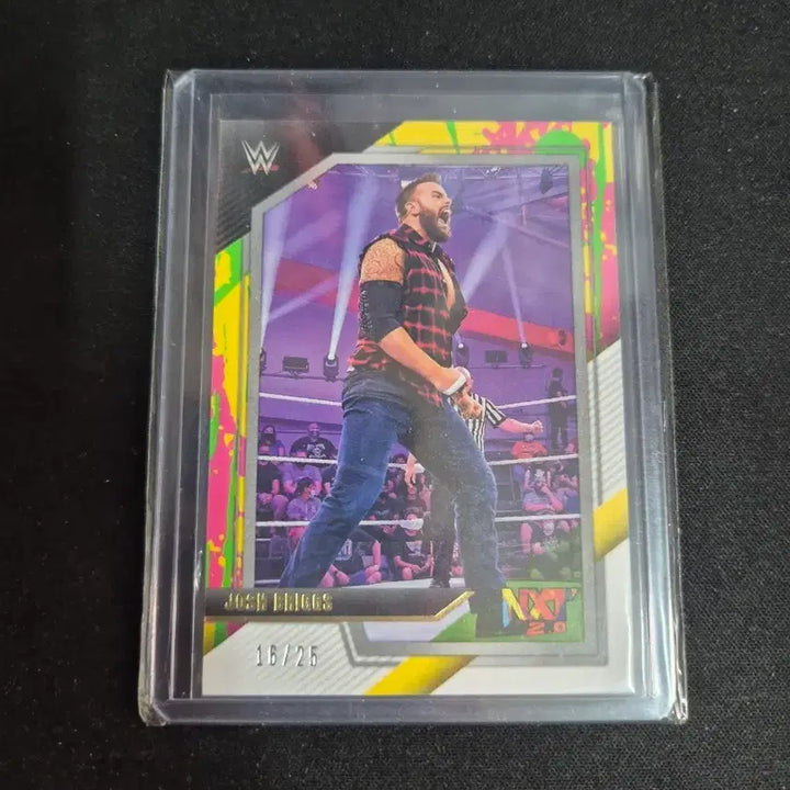 [BUNJANG] WWE Josh Briggs 2.0 Limited Edition 25 / [WWE] 조시 브릭스 2.0 25한정