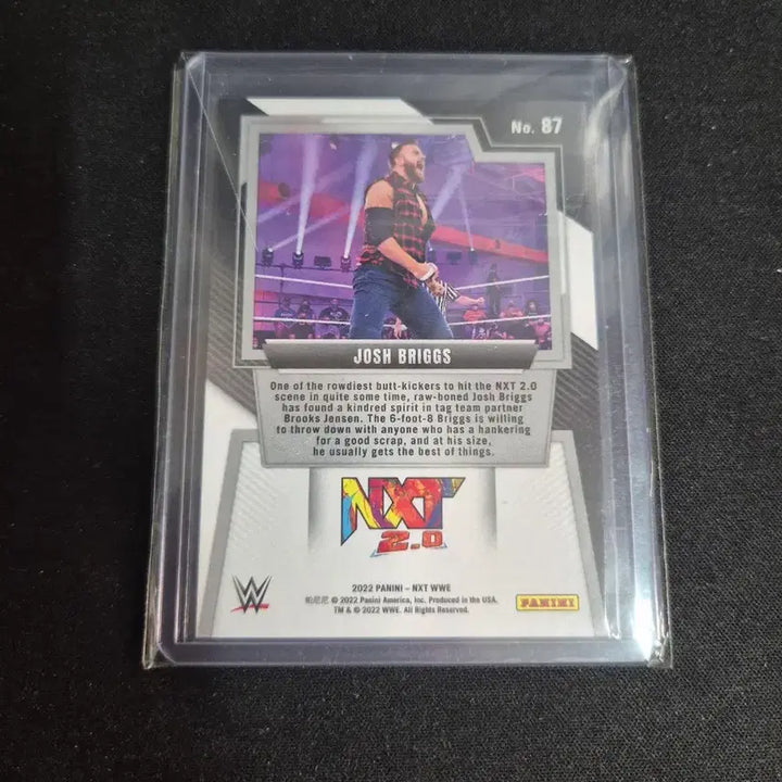 [BUNJANG] WWE Josh Briggs 2.0 Limited Edition 25 / [WWE] 조시 브릭스 2.0 25한정