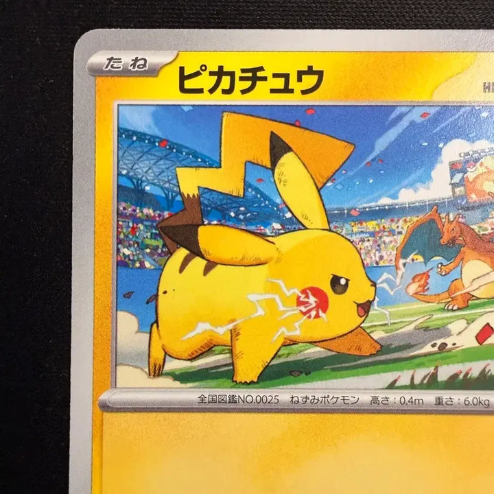 [BUNJANG] Pikachu Gym Promo Charizard (SV-P 120) Graded Quality / [등급용 최상급] 2023 피카츄 짐 프로모 (SV-P 120)-리자몽
