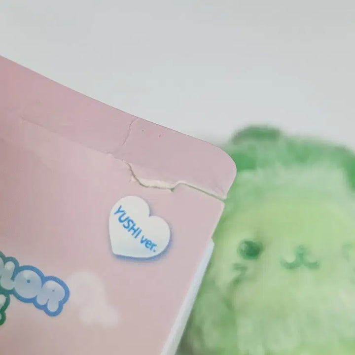 [BUNJANG] Color Wishdoll Bubble Cat Green Photocard Holder / 컬러 위시돌 버블냥 초록 양도