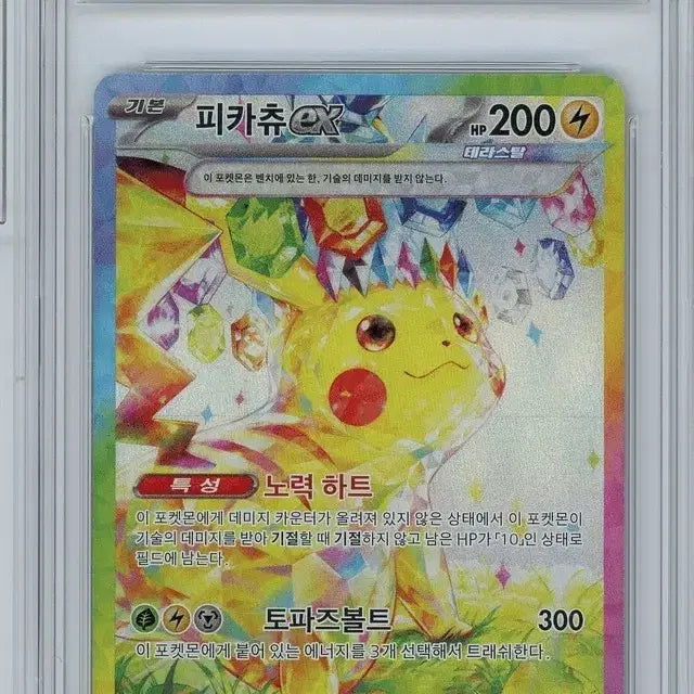 [BUNJANG] Tera/Cho-jeon Pikachu Bundle / 테라/초전 피카츄 일괄 판매합니다.
