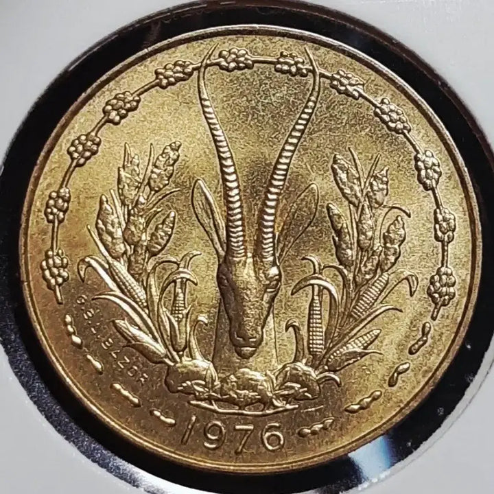 [BUNJANG] West African Union 1976 10 Francs Unused Foreign Coin / 극희귀 서아프리카연합 미사용 1976년 10프랑.외국주화 주화 화폐 동전