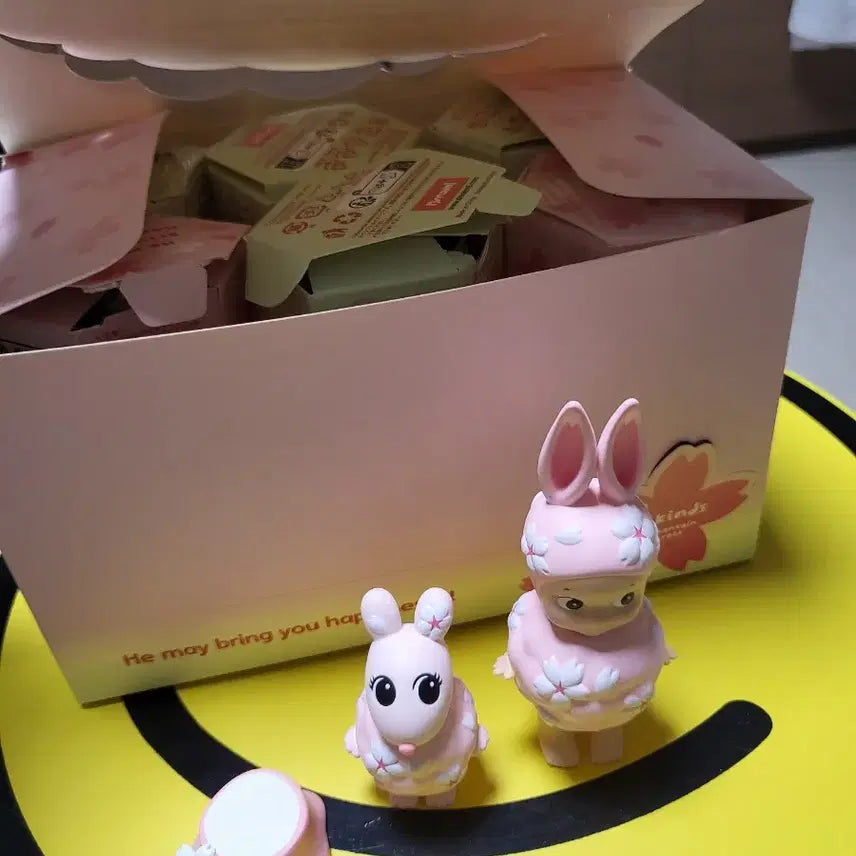 [SOLD OUT] 소니엔젤 하나미