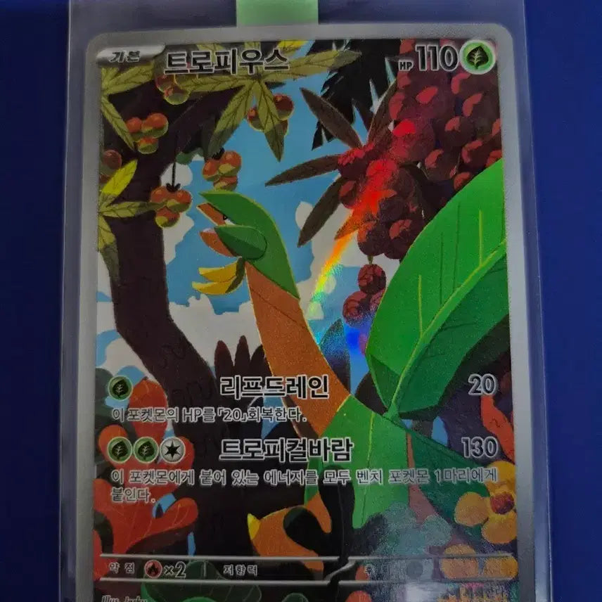 [BUNJANG] Tropicus AR Trading Card - S Grade / [S급] 트로피우스 AR +탑로더 보관