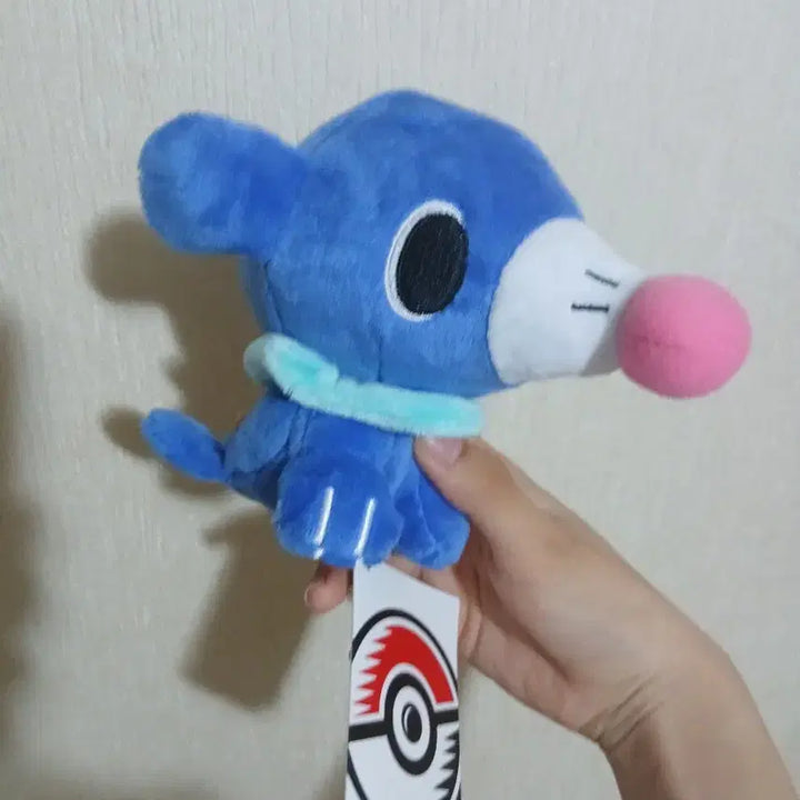 [BUNJANG] Dolls NuriGong Medium POB Photocard Holder / 돌즈 누리공 중포센 제품