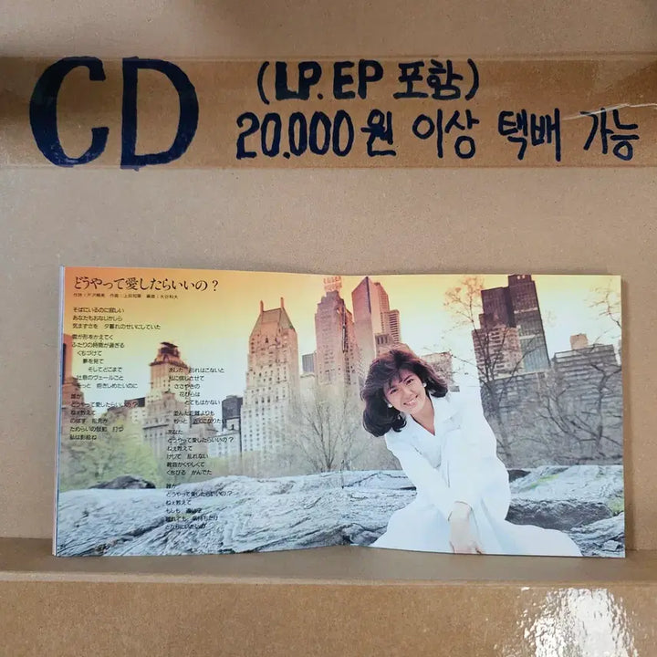 [BUNJANG] Yoko Minamino GLOBAL Limited Edition 2CD Picture Label Edition / (한정판CD, 시티팝, 신스팝, 미나미노 요코) Yoko Minamino
