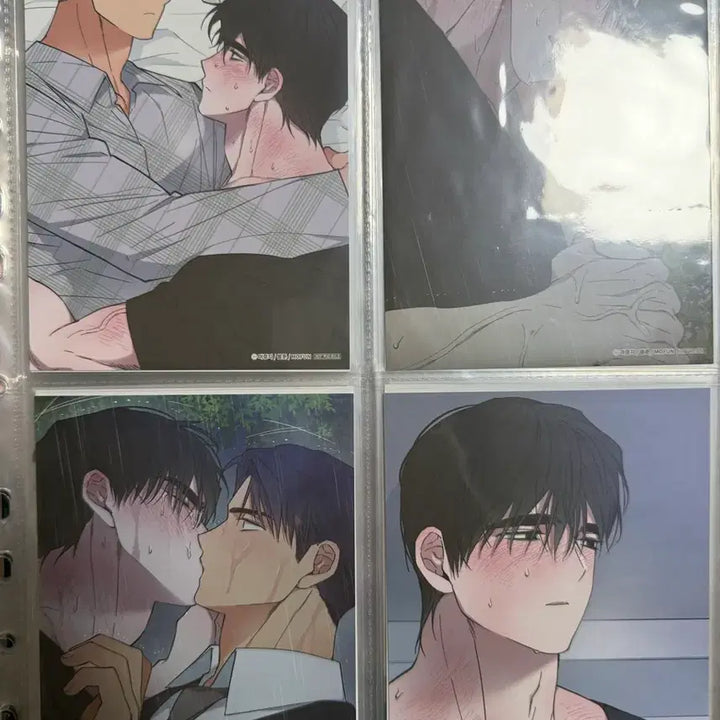 [BUNJANG] MoFun Dawn Cloud River Binder, Postcard, Poster / 모펀 새벽 구름 강 바인더 엽서 포스터