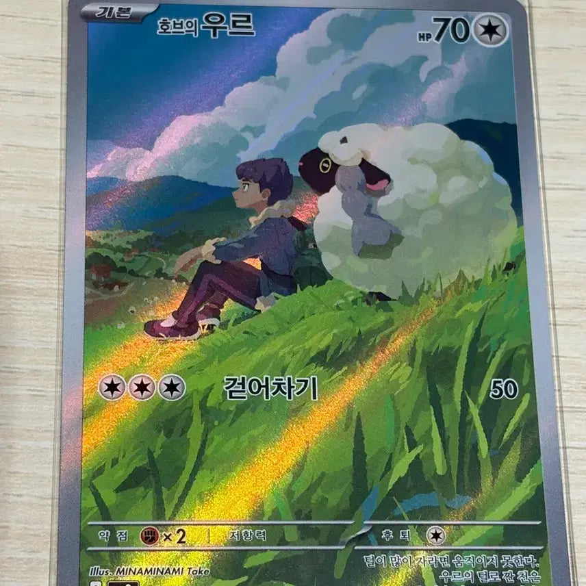[BUNJANG] Pokemon Card Hob&