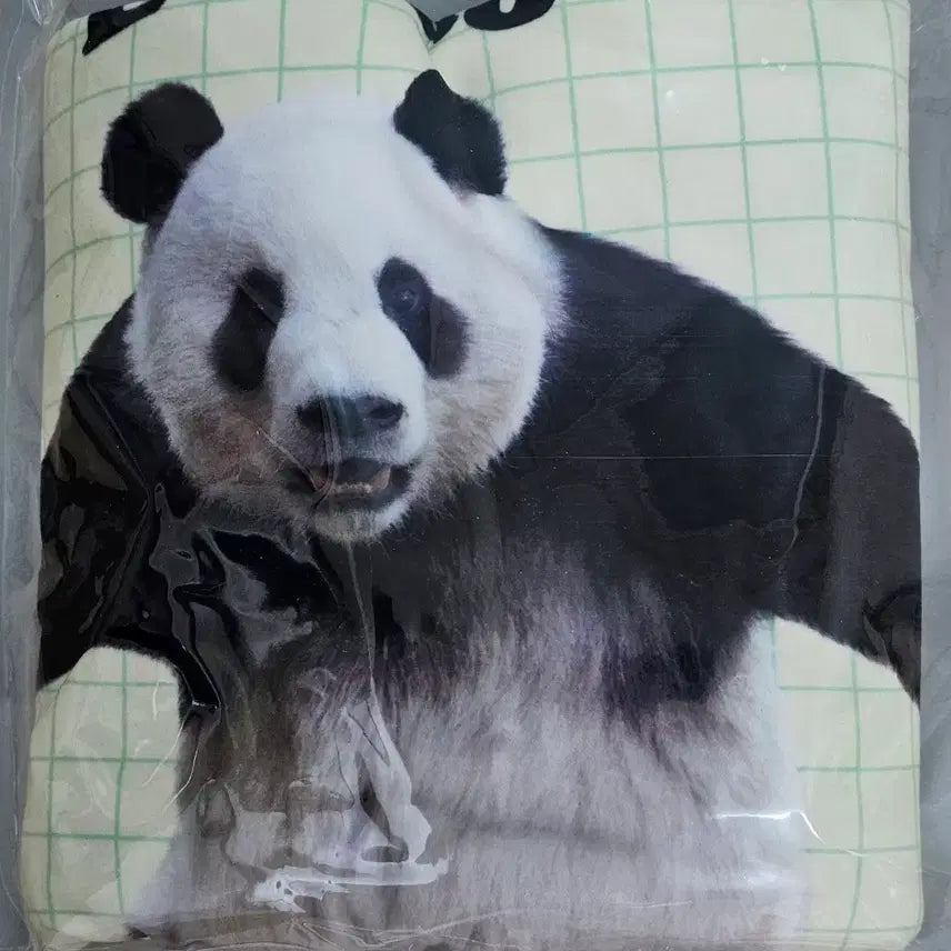 [BUNJANG] Everland Bao Family Fleece Blanket / 에버랜드 바오패밀리 담요