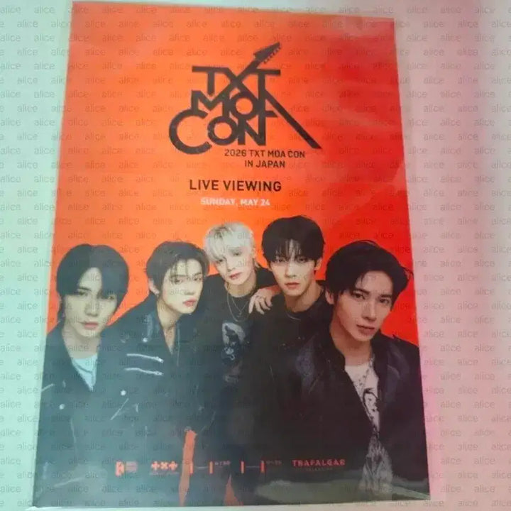 [BUNJANG] TXT Yeonjun CGV Lucky Draw Photocard / 연준엽서 모아콘제팬라이브뷰잉 투바투 cgv특전 엽서 yeonjun txt