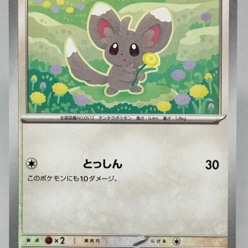 [BUNJANG] Pokemon Card Japanese Chirami Normal Card [m4 070/083] Ninjask / 포켓몬카드 일판 치라미 일반카드 [m4 070/083] 닌자스피너