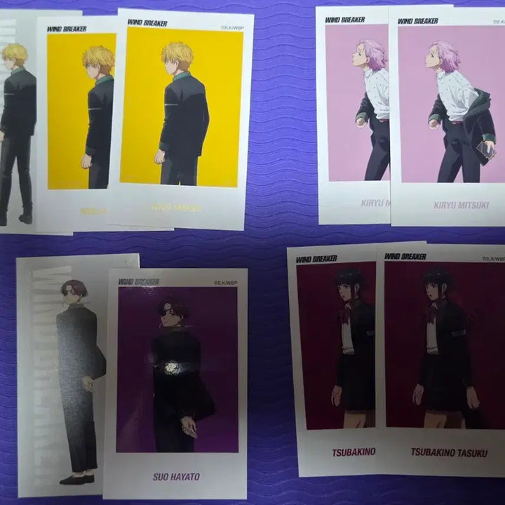 [BUNJANG] Wind Breaker Baseyard Tokyo Art Card &amp; Photocard Set / 윈브레 베이스야드도쿄 카드&amp;포카 니레이, 키류, 스오, 츠바키, 우메미야