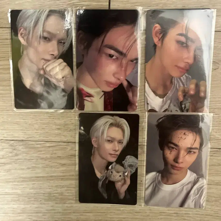 [BUNJANG] ENHYPEN Niki Photocard / 엔하이픈 니키 포토카드 양도합니다
