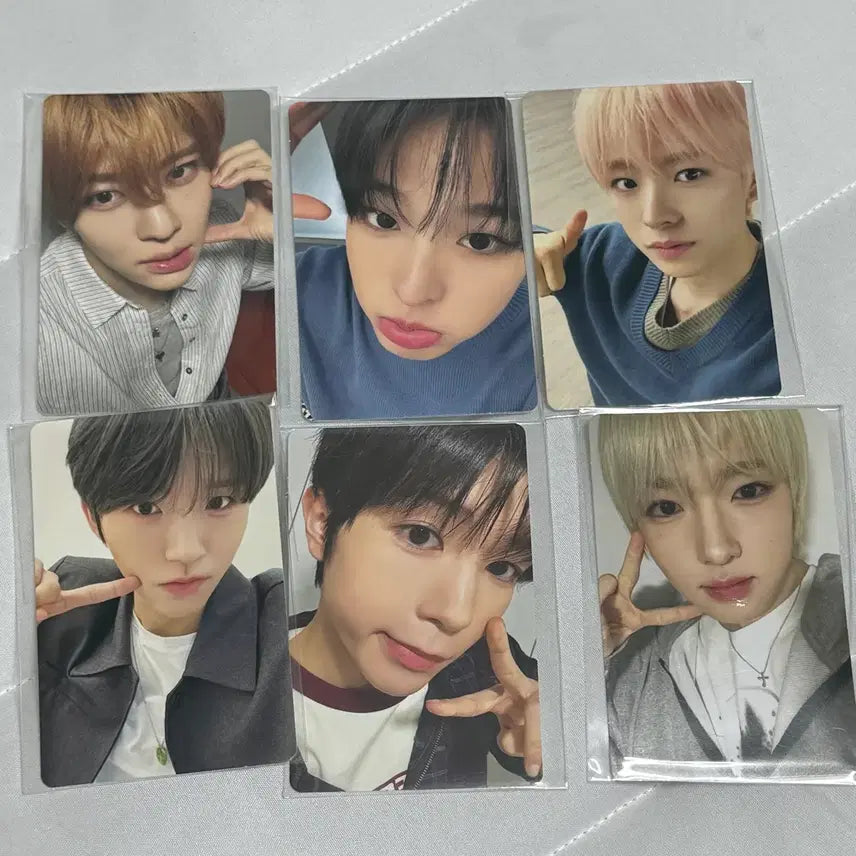 [BUNJANG] NCT WISH Berry&