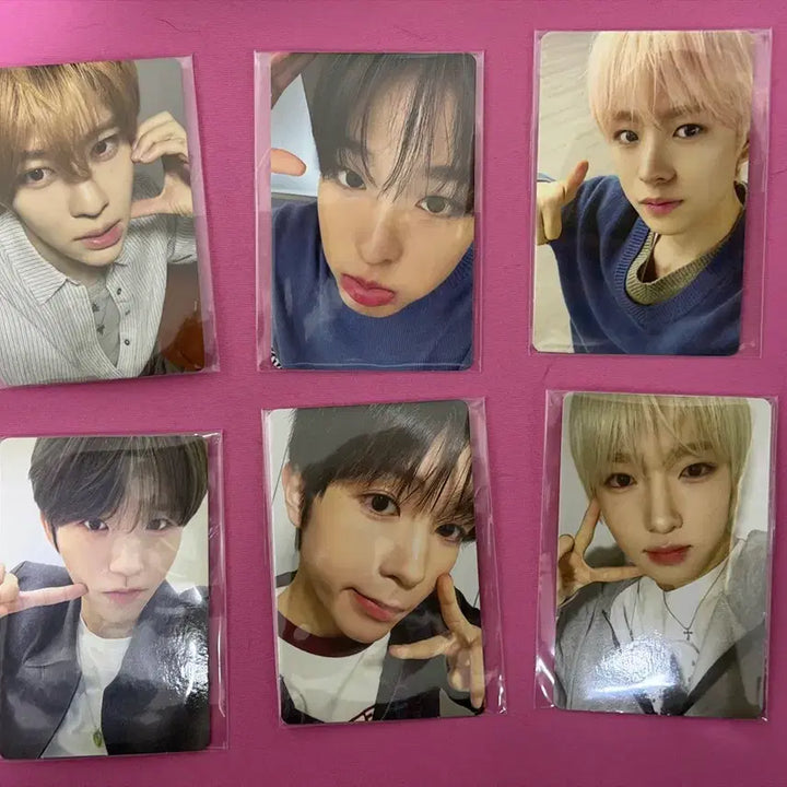 [BUNJANG] NCT WISH ODD TO LOVE Berries SM Store POB Set / 세트) 엔시티위시 오드투러브 0505 베리즈 슴스토어 대면 미공포