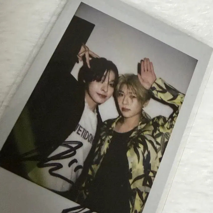 [BUNJANG] NCT WISH Arena Polar Sion Riku Photocard / 엔시티위시 아레나 폴라 시온 리쿠