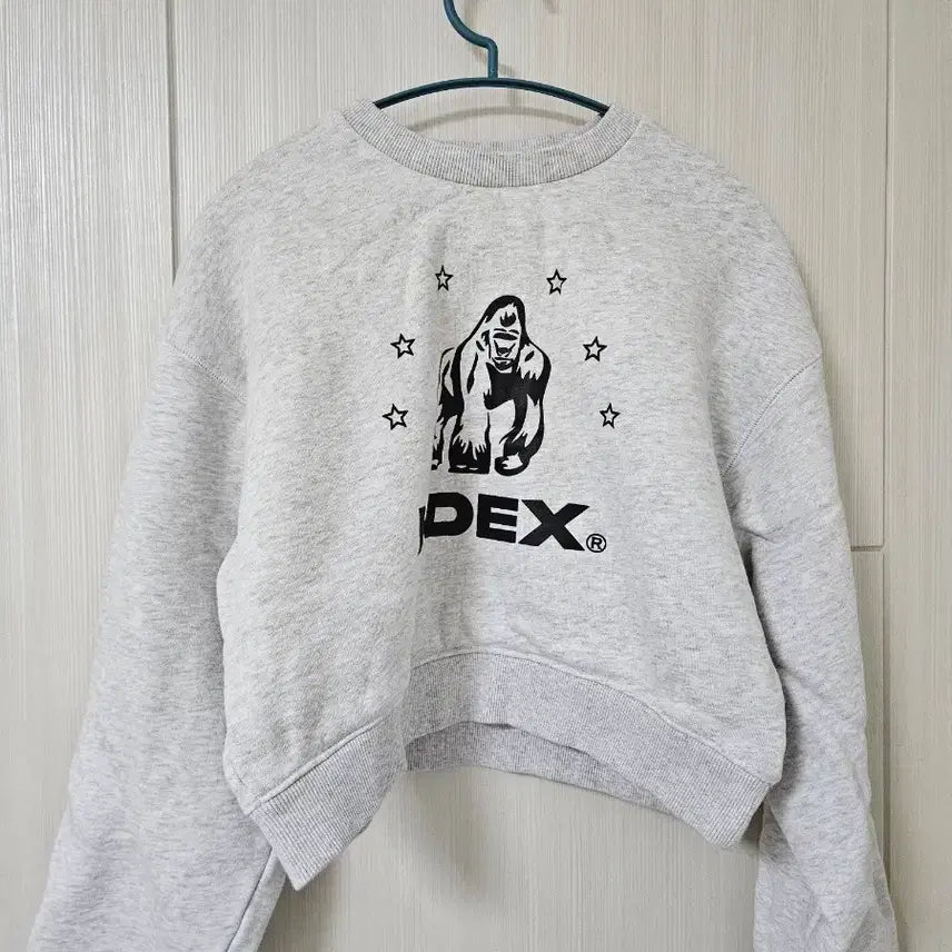 [BUNJANG] Hardex Gorilla Crop Sweatshirt / 하덱스 고릴라 크롭 맨투맨