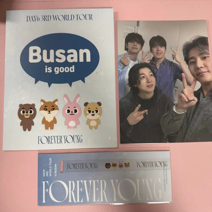 [BUNJANG] Day6 Forever Young Concert Busan Entry Kit / 데이식스 포에버영 콘서트 부산 입장키트 양도 판매