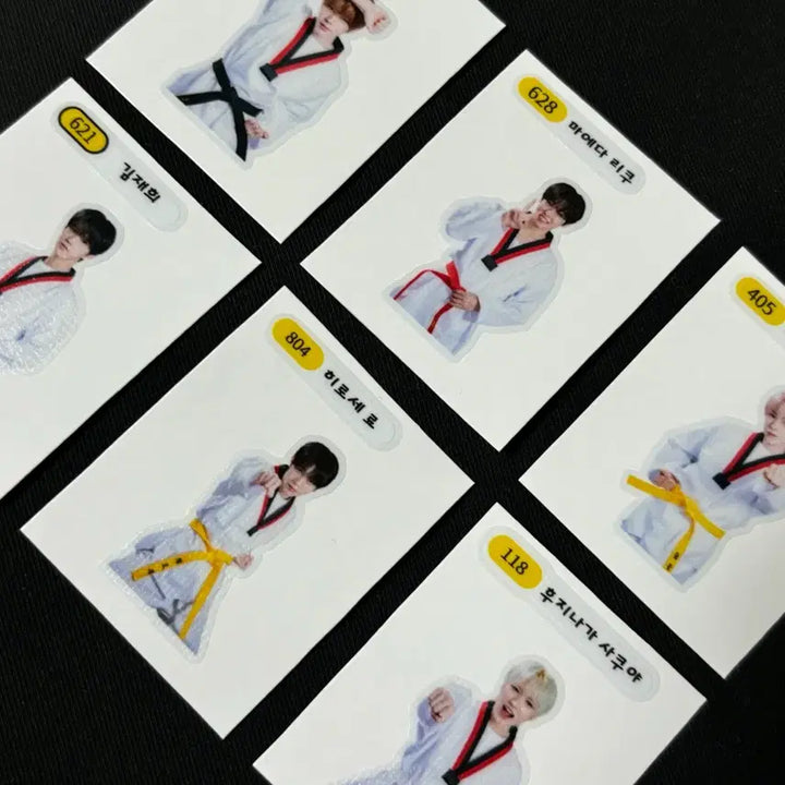 [BUNJANG] NCT WISH Taekwondo Sticker Set / 엔시티위시 태권도 띠부실 세트