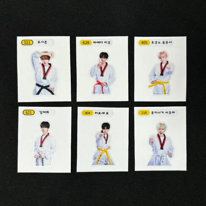 [BUNJANG] NCT WISH Taekwondo Sticker Set / 엔시티위시 태권도 띠부실 세트