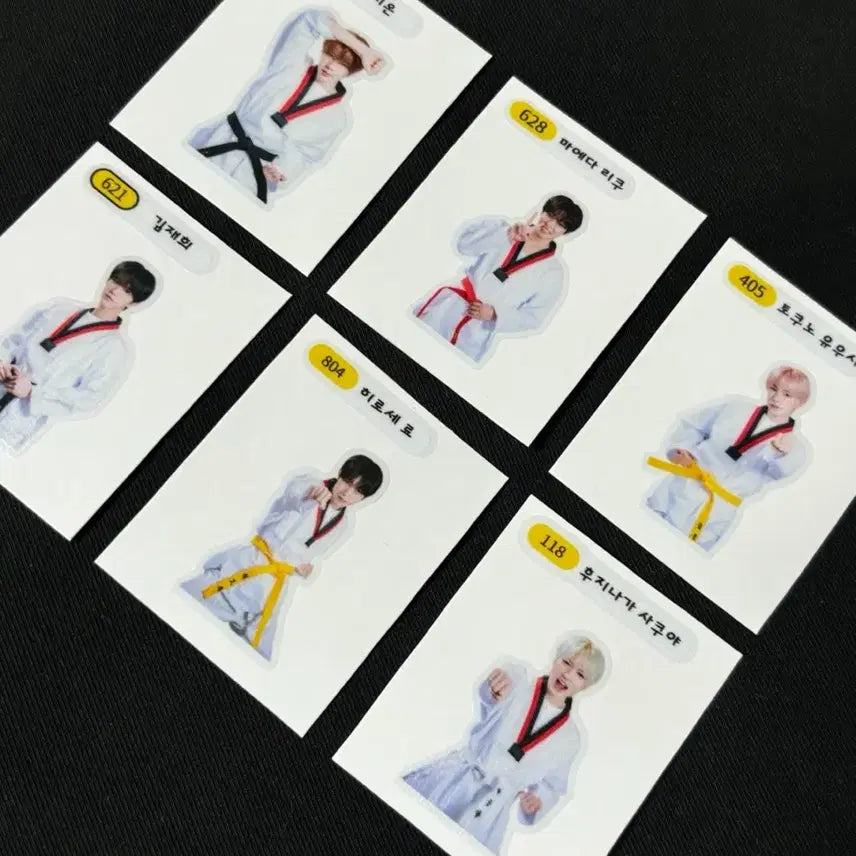 [BUNJANG] NCT WISH Taekwondo Sticker Set / 엔시티위시 태권도 띠부실 세트