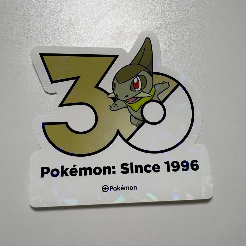 [BUNJANG] Pokemon 30th Anniversary Torkoal Logo Sticker / 포켓몬 30주년 터검니 로고스티커 올리브영