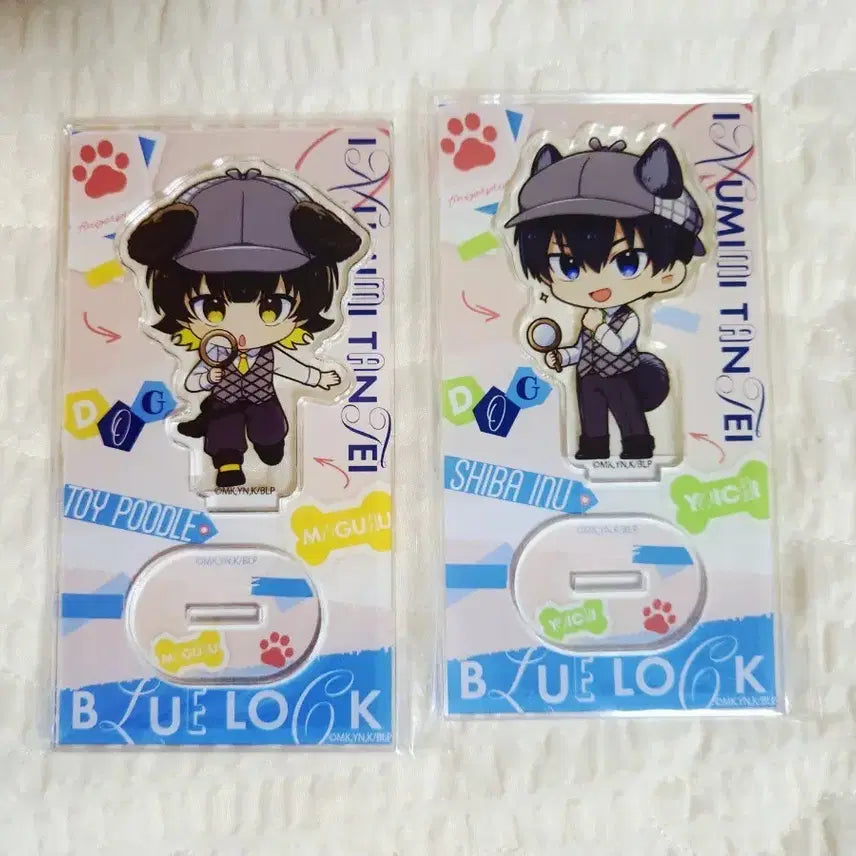 [BUNJANG] Blue Lock Isagi &amp; Bachira SD Acrylic Stand / 블루록 이사기 바치라 SD 아크릴 스탠드